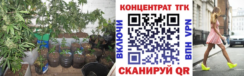 Дистиллят ТГК гашишное масло Осташков