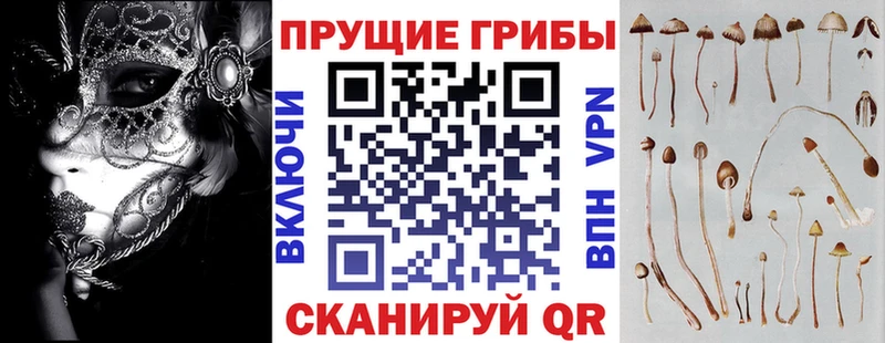 ОМГ ОМГ ССЫЛКА  Осташков  Псилоцибиновые грибы прущие грибы 